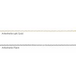 permanente Fußkette | 'ELIZA WEISS linked' – Bild 6