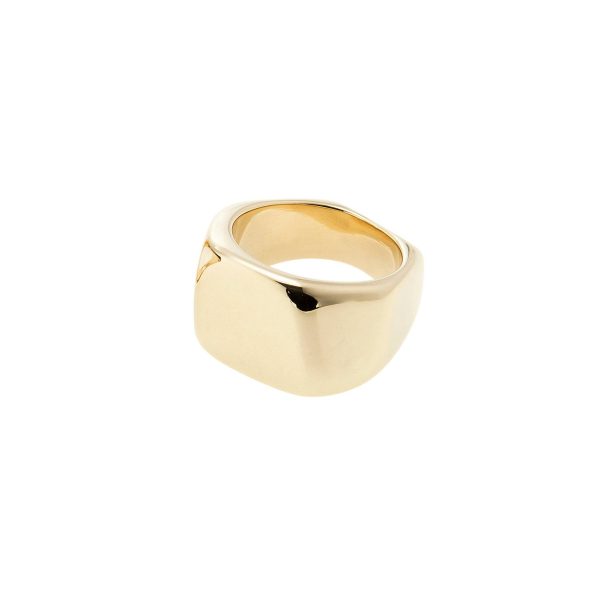 elizaweiss_signet_ring_14kt_gold_5 'signet' Ring | 14kt Gold – Bild 6