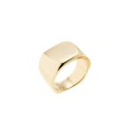 'signet' Ring | 14kt Gold